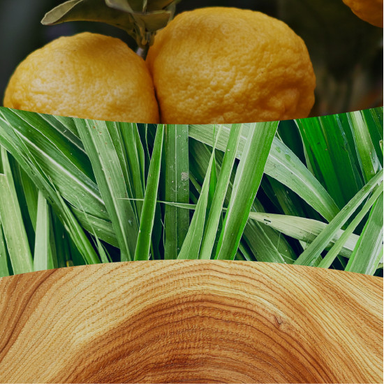 YUZU & VETIVER